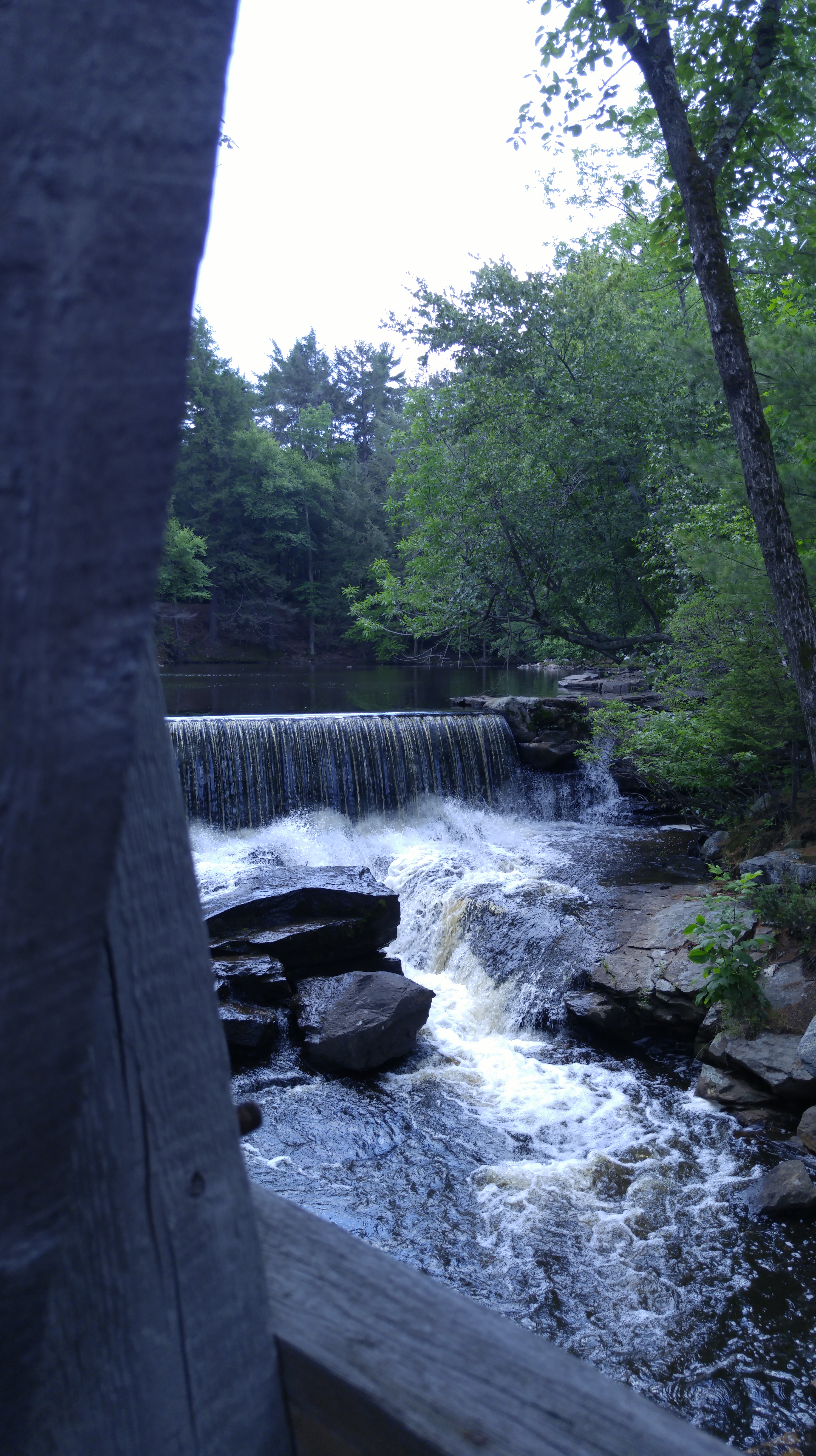 wpid-20150710_145628.jpg