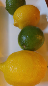 20160329_175404
