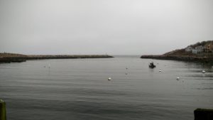 20161022_104015